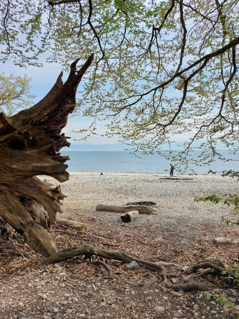 Julia Bastian, Resilienz in der Natur