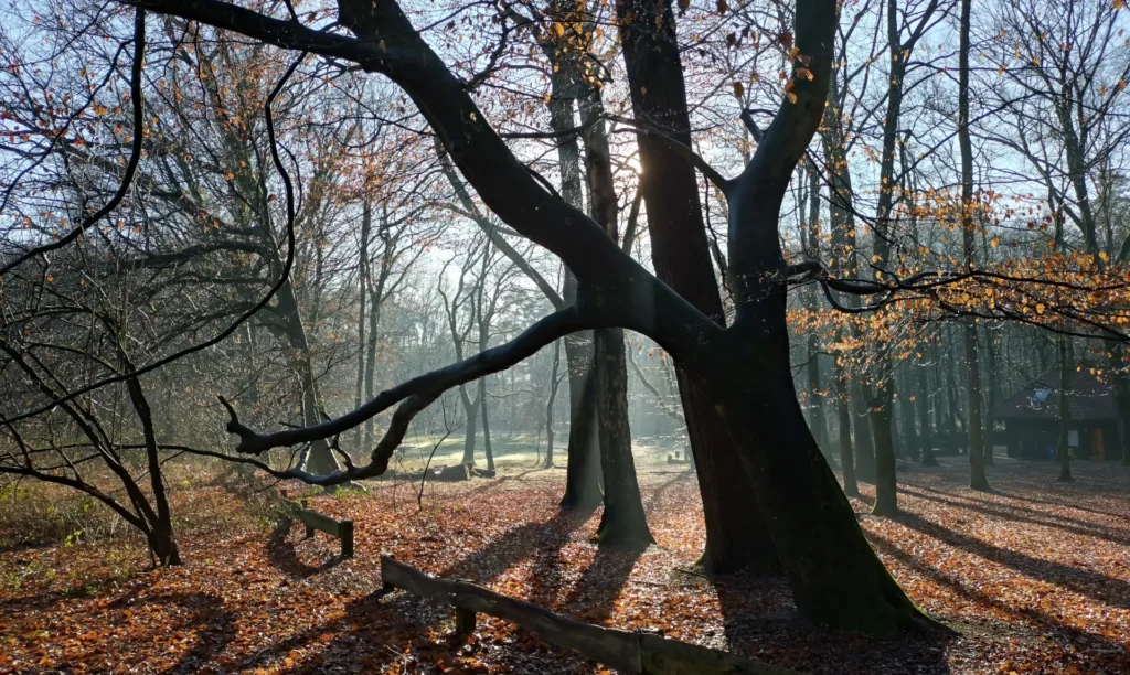 Waldbaden, Julia Bastian